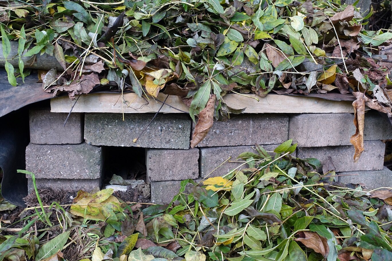 Einfaches Winterquartier für Igel aus Naturmaterialien | © stock.adobe.com Igelhaus aus Ziegeln und Holz unter Laub versteckt | © stock.adobe.com