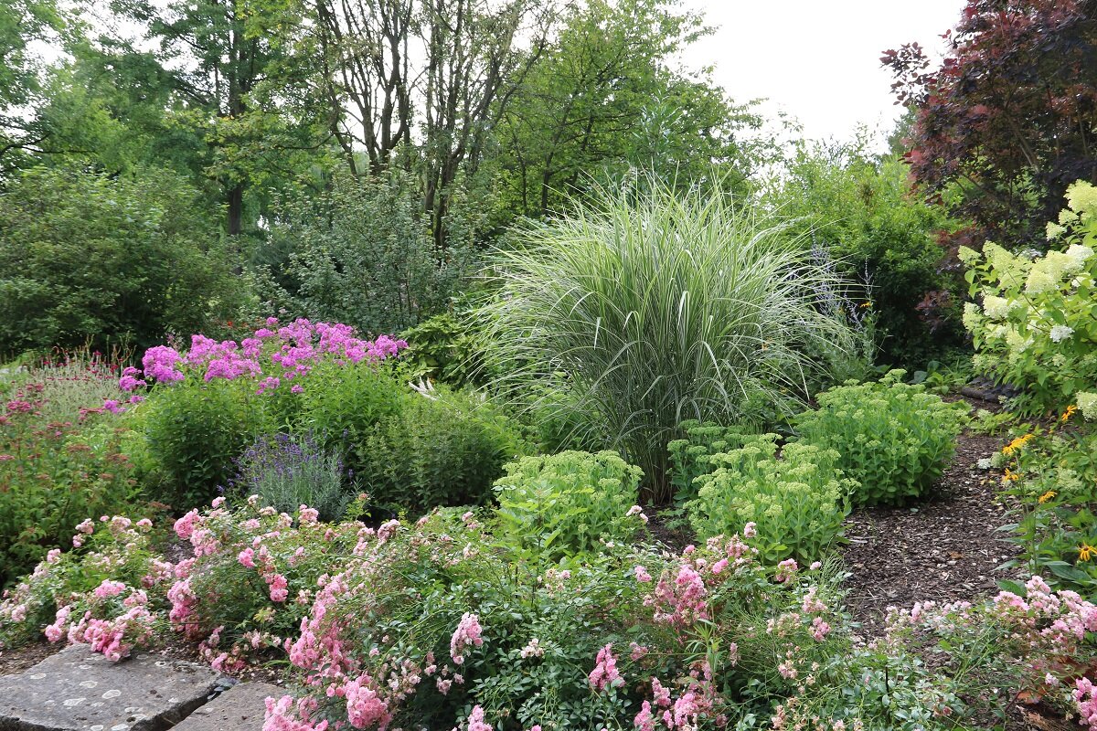 Blühende Staudenbeete | © stock.adobe.com Farbenfrohe Kombinationen für einen lebendigen Garten | © stock.adobe.com